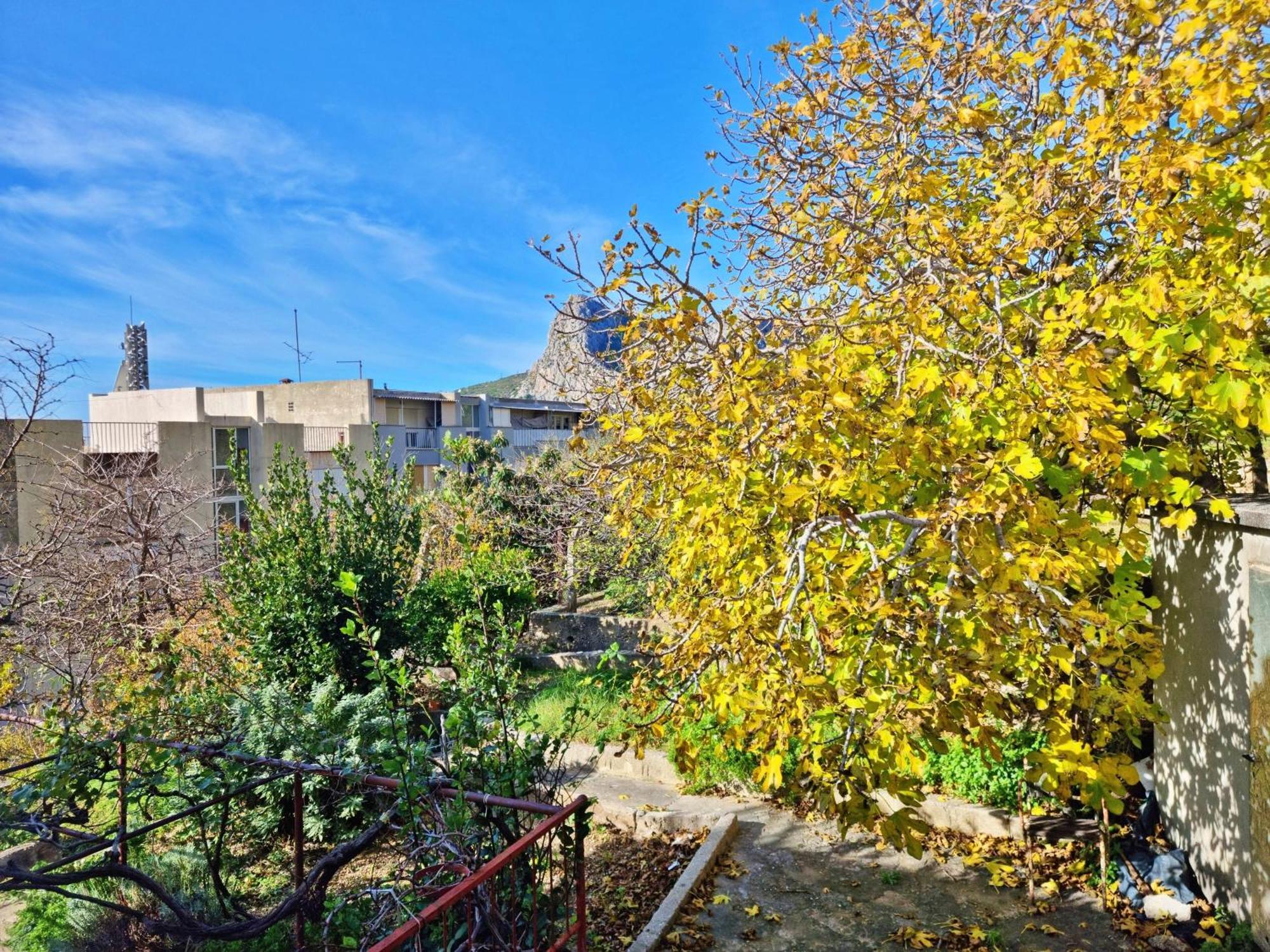 Apartment Merica Omis Bagian luar foto
